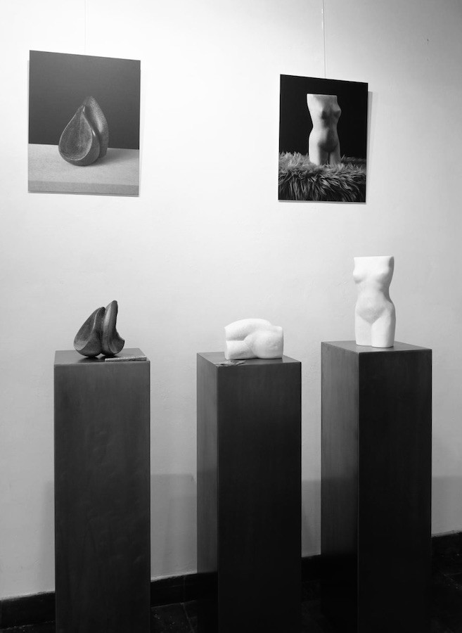 expositie Heleen van Rheenen